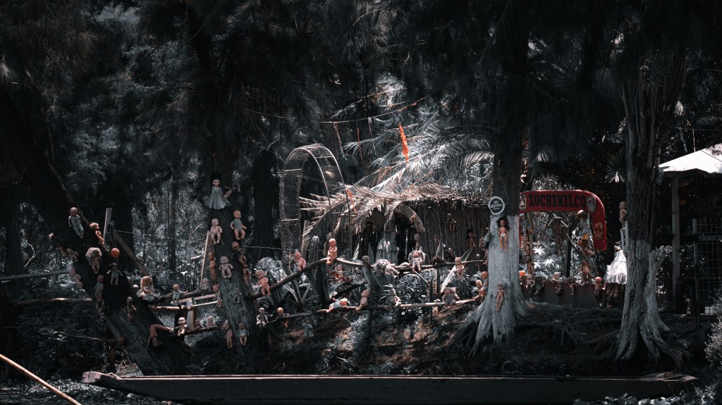 Xochimilco & Coyoacan