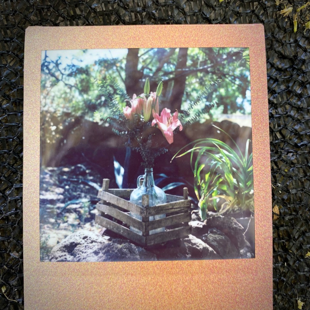 Naturaleza viva, casa&nbsp;Lailene